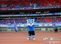 开云手机在线登陆入口-黄石球迷武汉斗殴